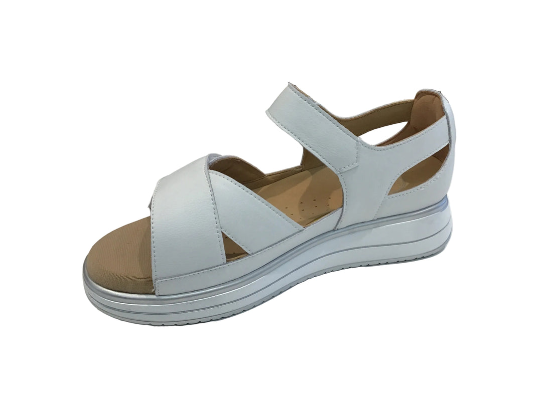 G COMFORT 662