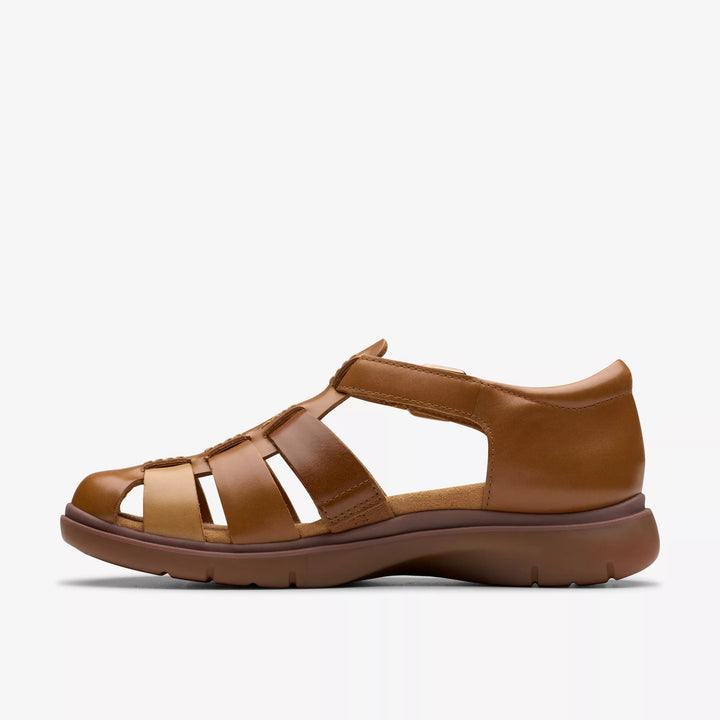Clark’s Certina Sun