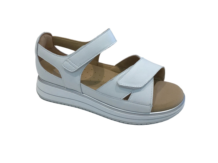 G COMFORT 662